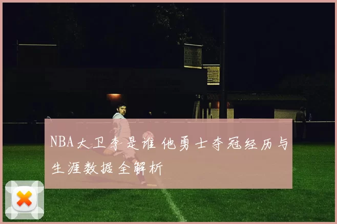 NBA大卫李是谁 他勇士夺冠经历与生涯数据全解析