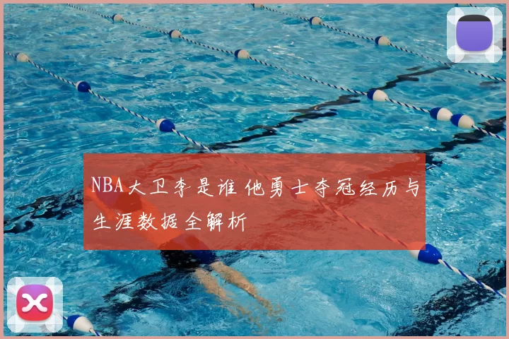 NBA大卫李是谁 他勇士夺冠经历与生涯数据全解析